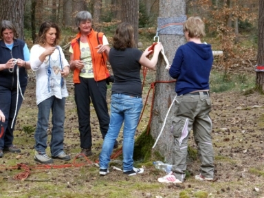 Seil & Abenteuer in der Pädagogik